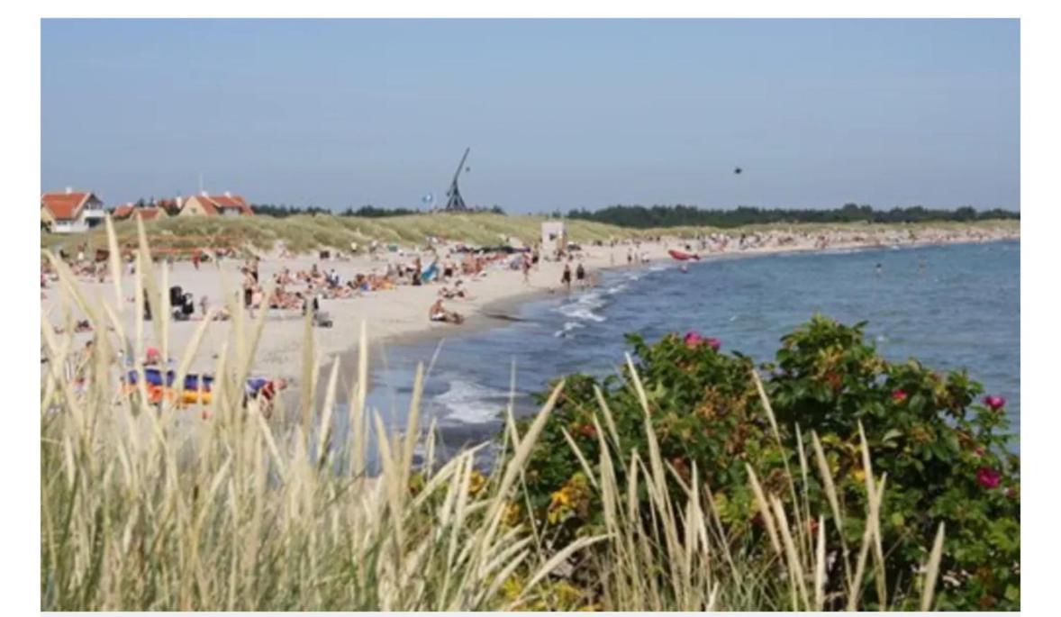 Skon Villalejlighed I Skagen Med Terrasse Og Taet Pa Centrum Bagian luar foto